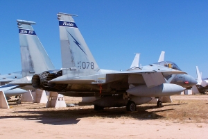FL ANG F-15_1